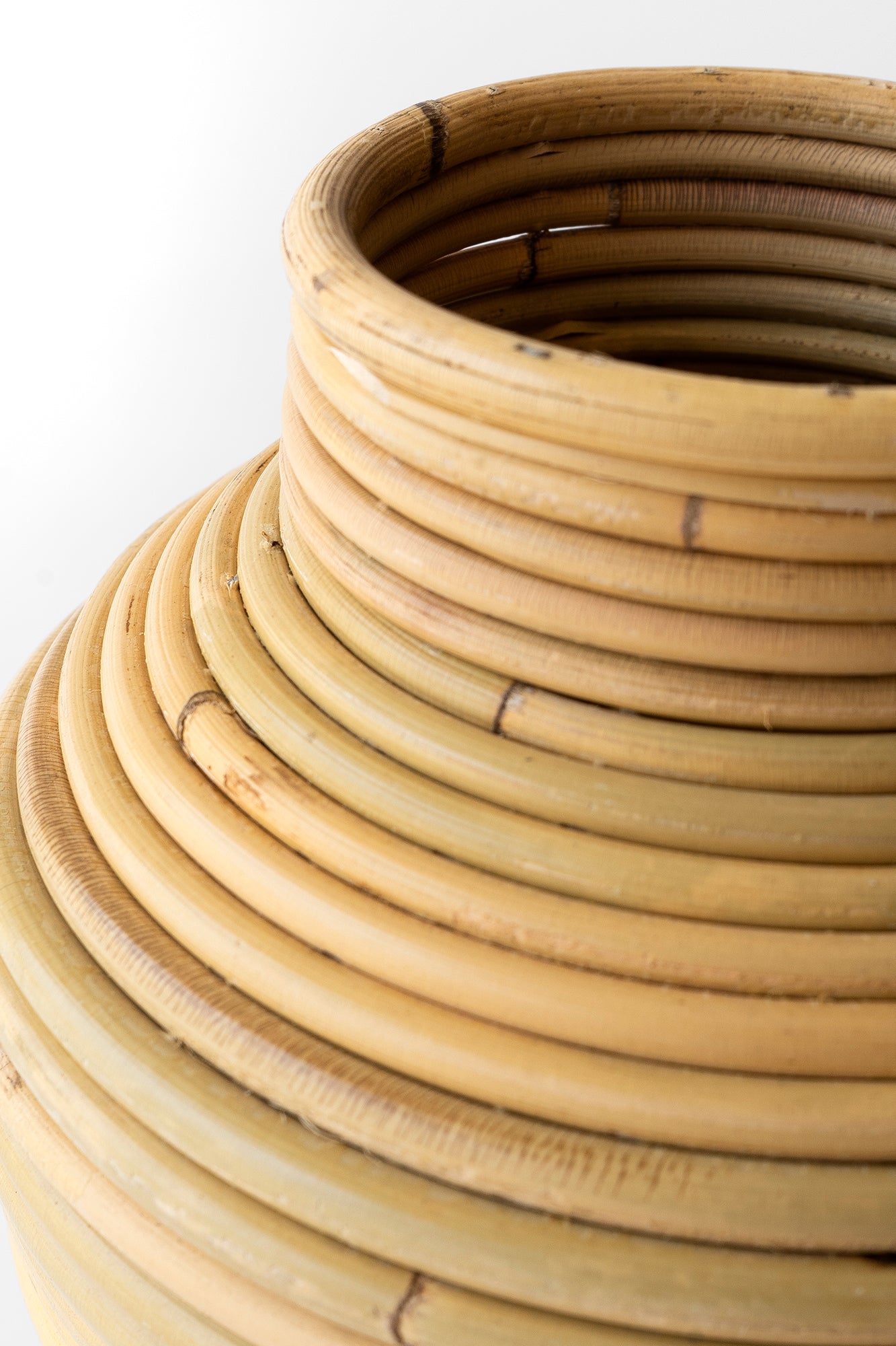 Vasija Decorativa Wortel