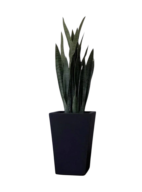 Macetero fibrocemento negro trapecio
