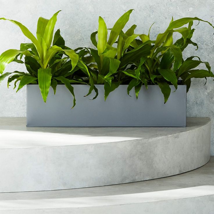 Jardinera Rectangular