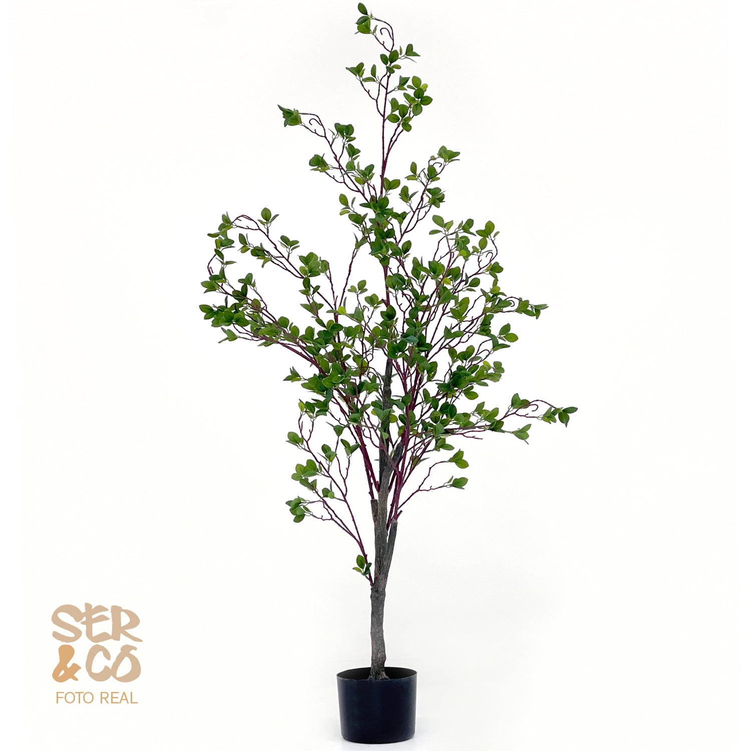 Arbol de Encina Mod1 150 y 180 cm
