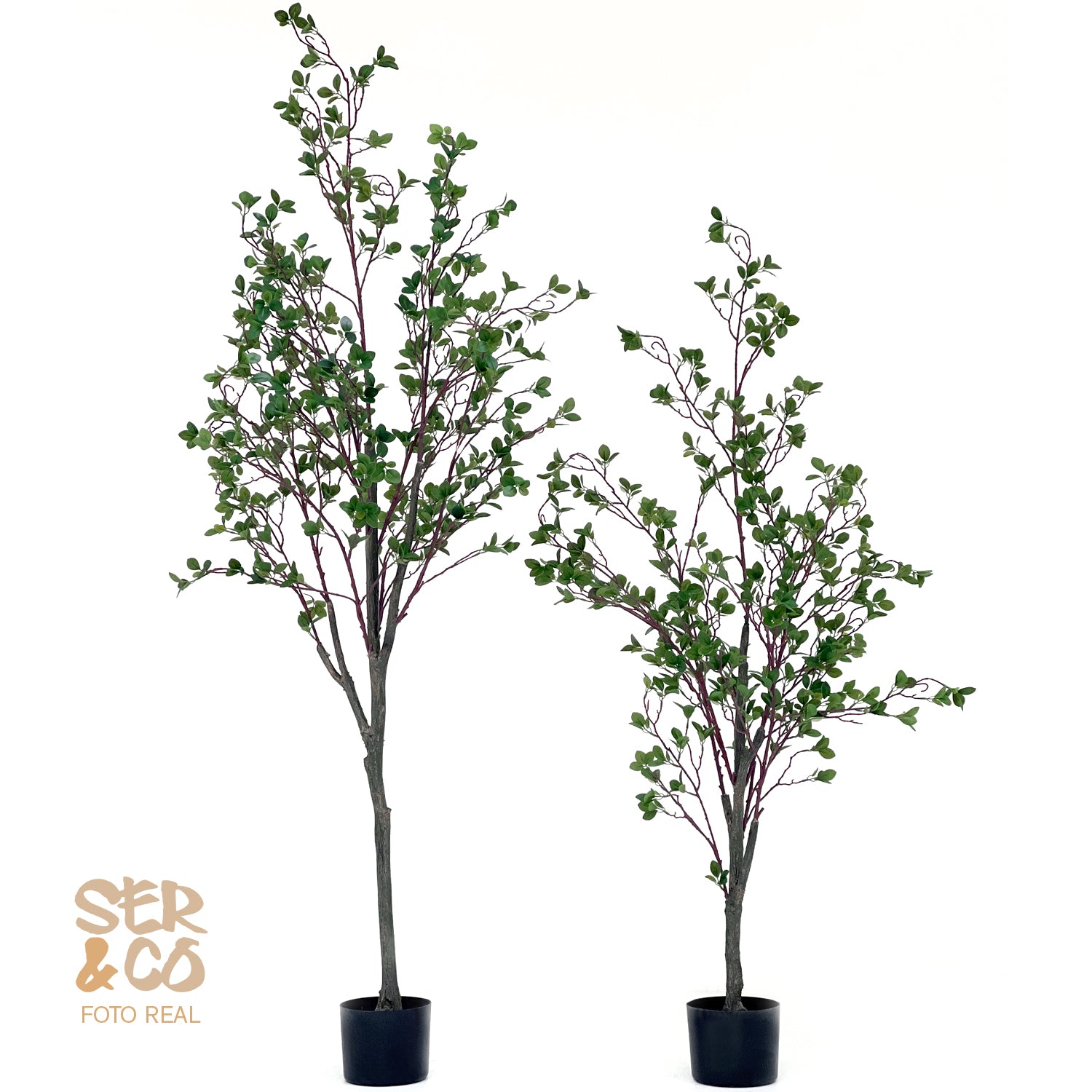 Arbol de Encina Mod1 150 y 180 cm