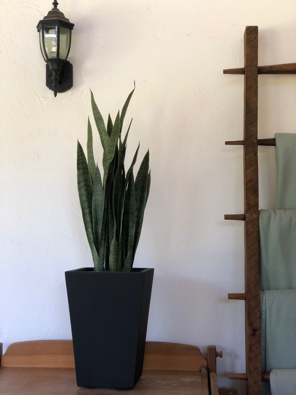 Maceta Trapecio